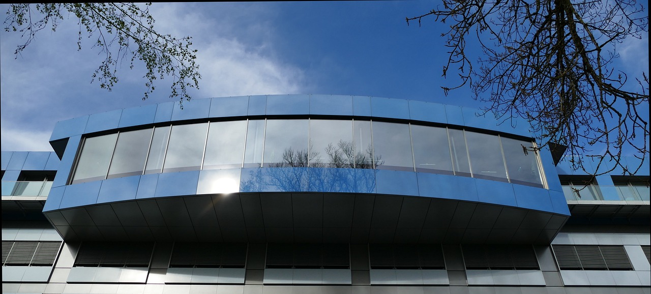 大小招卡实名账号：短信之王：如何成为短信大师