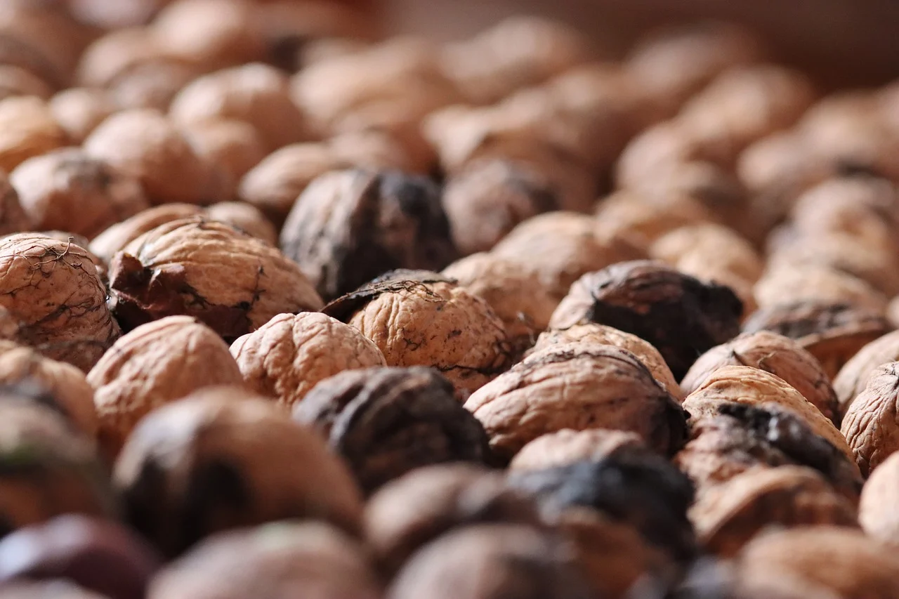 芒果星芒卡实名账号：花切购买平台